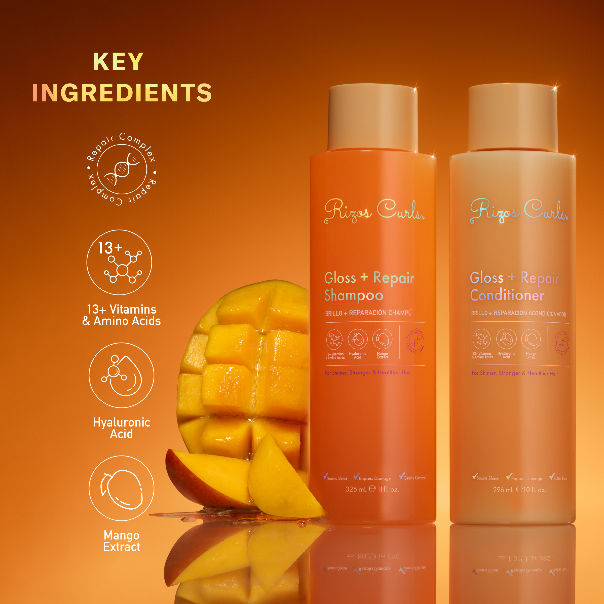 Gloss + Repair Wash Bundle